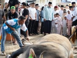 Bobby Nasution Tunaikan Salat Iduladha Bersama Warga Binjai, Pemprov Sumut Distribusikan 167 Hewan Kurban