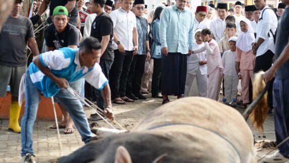 Bobby Nasution Tunaikan Salat Iduladha Bersama Warga Binjai, Pemprov Sumut Distribusikan 167 Hewan Kurban