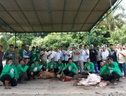 Iduladha dan Semangat Berbagi, Bank Sumut Salurkan Ratusan Paket Daging Kurban untuk Masyarakat