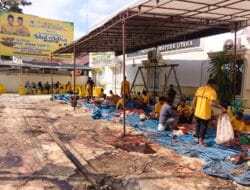 Golkar Sumut Kurban 15 Sapi 3 Kambing