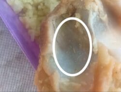 Viral! Ayam Goreng MBG Diduga Berulat, Siswa SD di Langkat Sakit Perut