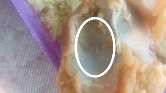 Viral! Ayam Goreng MBG Diduga Berulat, Siswa SD di Langkat Sakit Perut