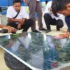 Batu Giok Nagan Raya Aceh Peroleh Sertifikasi Hak Kekayaan Intelektual