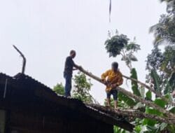 ‎13 Rumah Rusak akibat Cuaca Ekstrem di Sumut