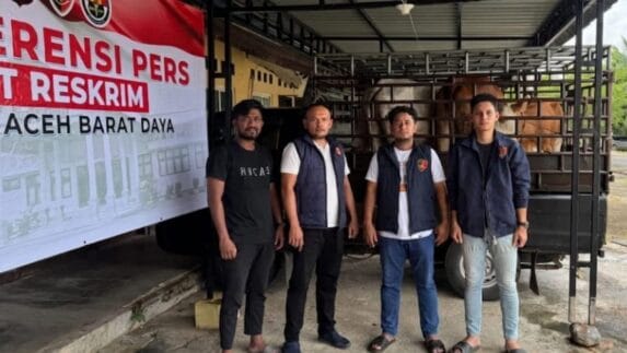 Tim URC Satreskrim Polres Abdya Tangkap Dua Pria Pencuri 4 Ekor Sapi
