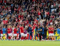 Christian Eriksen Pingsan, Laga Denmark versus Ukraina Dihentikan