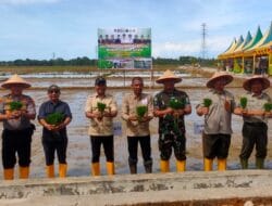 Tanam Padi Perdana MT Gadu 2026 Mulai, Safaruddin: Ajak Para Petani Sambut dengan Hati Gembira