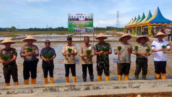 Tanam Padi Perdana MT Gadu 2026 Mulai, Safaruddin: Ajak Para Petani Sambut dengan Hati Gembira