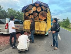 Tim Gabungan TNI Gagalkan Dugaan Illegal Logging di Dairi, 2 Truk Bermuatan Puluhan Kayu Gelondongan Diamankan