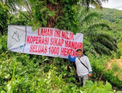 Gagal Kelola 14 Tahun, Koperasi Sikap Mandiri Pasang Spanduk Reclaiming 1.000 Ha Plasma di Lingga Bayu