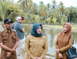 Irigasi Pulih, Petani Madina Siap Tanam, Pemerintah Kejar Target Tonase Padi