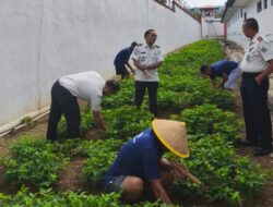 Dari Lapas ke Lumbung Pangan, Warga Binaan Panyabungan Tanam Kacang Tanah