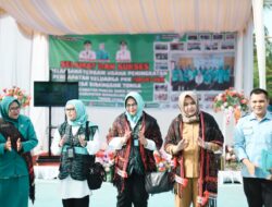 Tim PKK Sumut Monitoring UP2K Desa Sibanggor Tonga