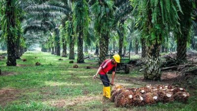 PT Abadi Energi Nabati Buka Peluang Karier Hijau