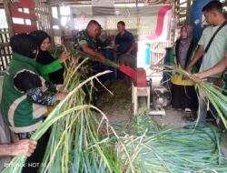 Inovasi Terbaru Koramil 13/Kluet Timur Gandeng PPL dan Petani Kembangkan Pakan Ternak Organik untuk Tingkatkan Produktivitas
