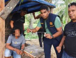 Polisi Grebek dan Bakar Barak Narkoba, 1 Orang Ditangkap