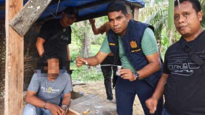 Polisi Grebek dan Bakar Barak Narkoba, 1 Orang Ditangkap