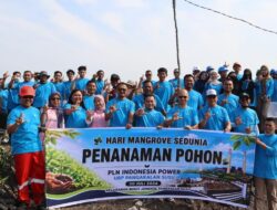 Lestarikan Ekosisem Lingkungan Pesisir, PLN Indonesia Power Gelar Penanaman Mangrove