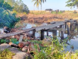 Jembatan Darurat di Setia Budi Gampong Ujong Tanoh Rawan, Masyarakat Desak Pemkab Segera Dibangun