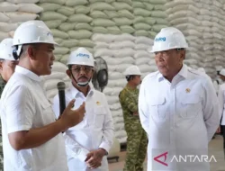 Pantau Stok Beras, Menko Polkam Diturunkan ke Sumut
