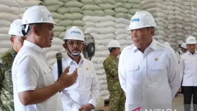 Pantau Stok Beras, Menko Polkam Diturunkan ke Sumut