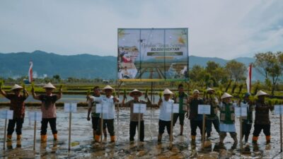 Gerakan Tanam Serempak Terpusat di Abdya, Plt Sekda: Hampir 80% dari Total Luas Lahan Pertanian Siap Produksi