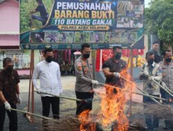 Polres Aceh Selatan Musnahkan 110 Batang Ganja Hasil Pengungkapan Ladang Narkotika