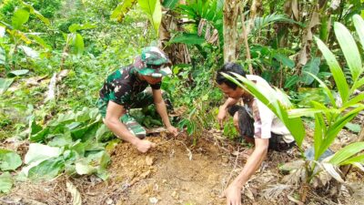 Kemanunggalan TNI-Rakyat Hijaukan Desa, Satgas TMMD ke-129 Kodim 0107/Aceh Selatan Awali Penanaman 200 Pohon