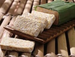 Tempe Berpeluang Jadi Produk Unggulan di Pasar AS